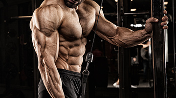 Training größerer Muskeln
