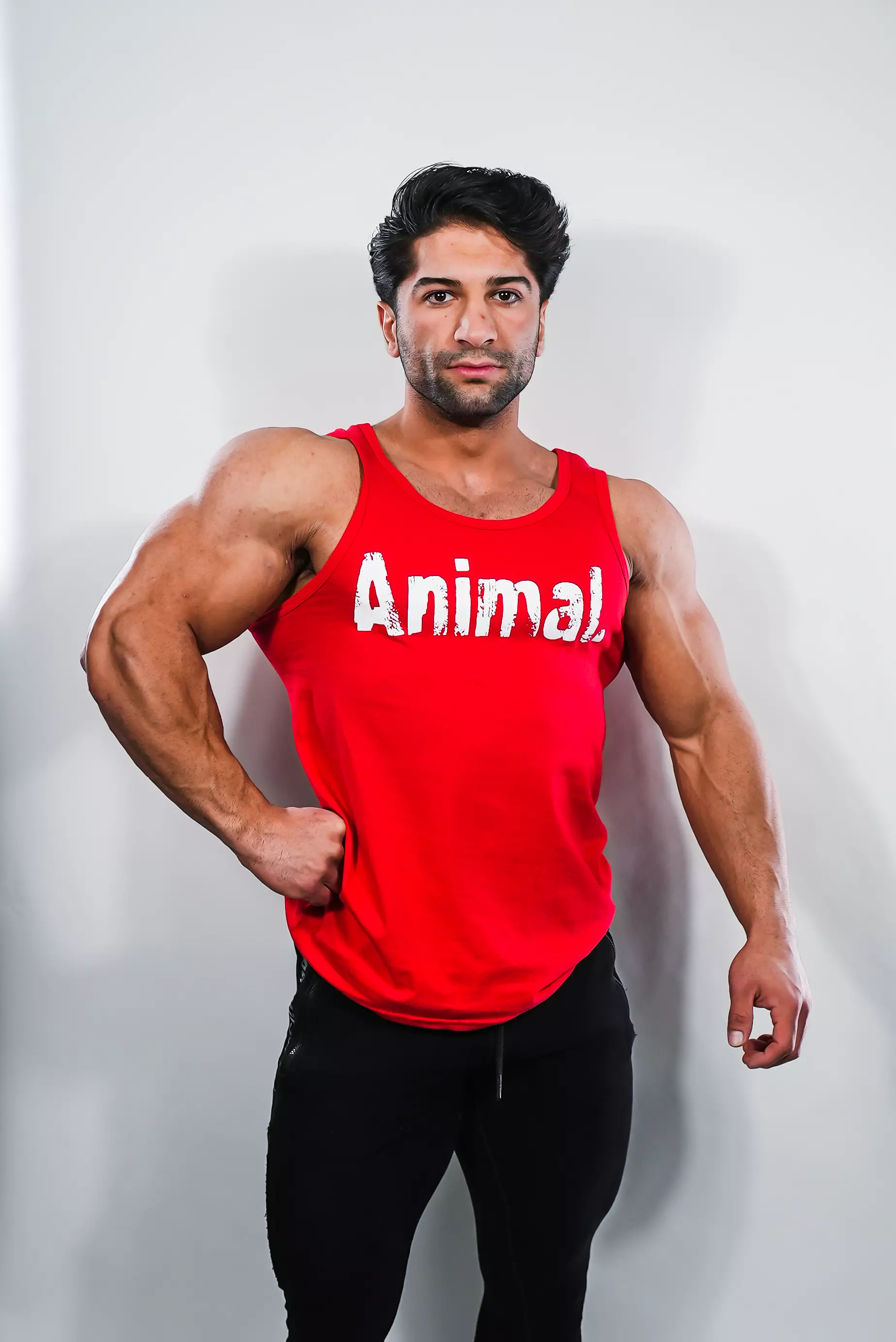 Universal Animal Red Tank A Logo Rot XL