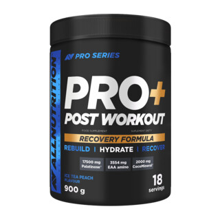 ALLNUTRITION Pro+ Post Workout 900 g